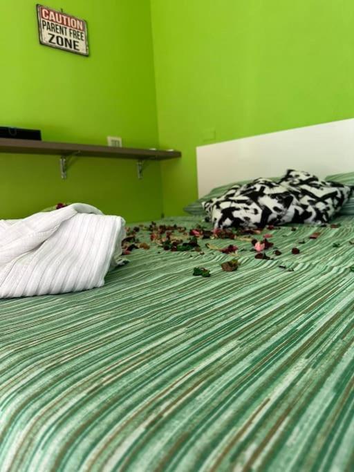 Apartamento A Perfect In Rome. *
